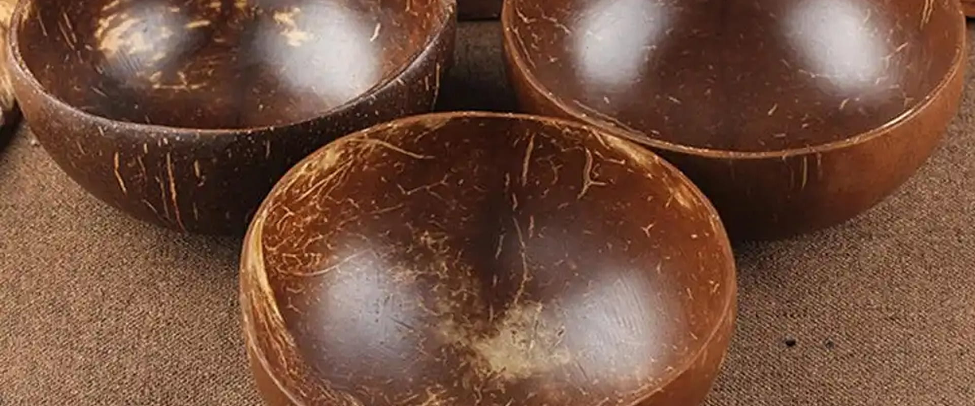 Coconut Craft