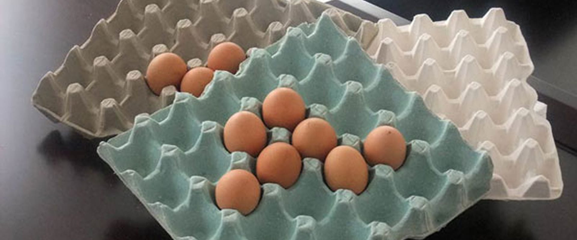Flower Eco Egg Craft