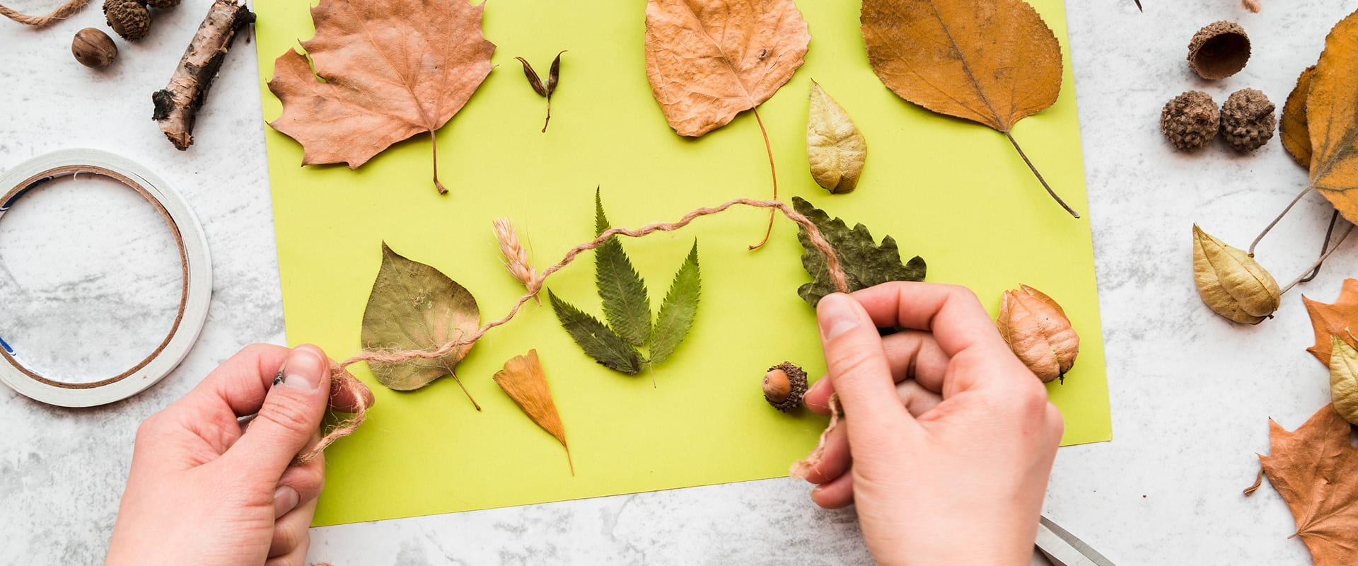 Nature Leaf Art