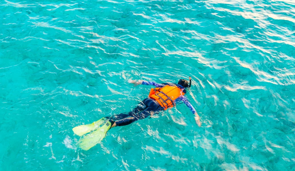 Snorkelling and Diving