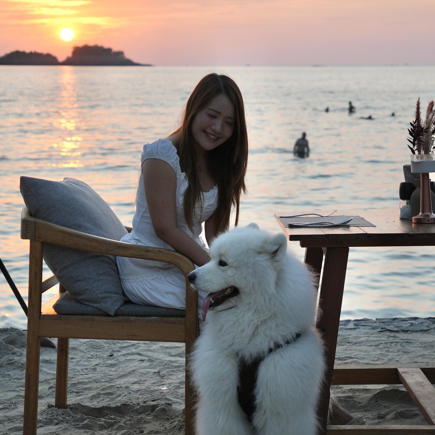 Pet Getaway