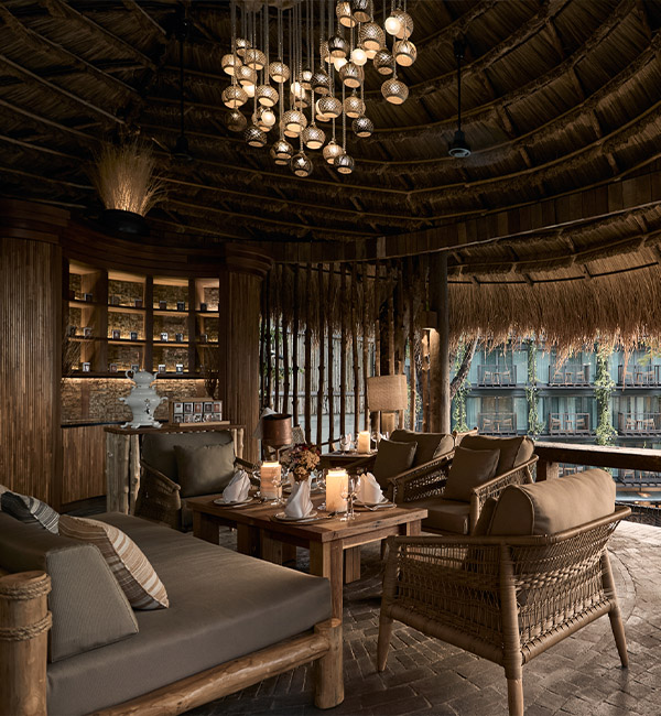 D Jungle House