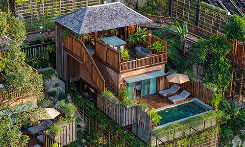D_Jungle 1 Bedroom Pool Villa