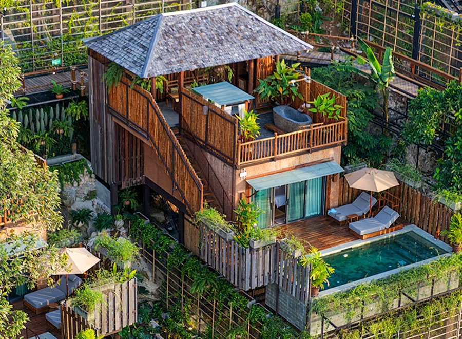 D_Jungle 1 Bedroom Pool Villa